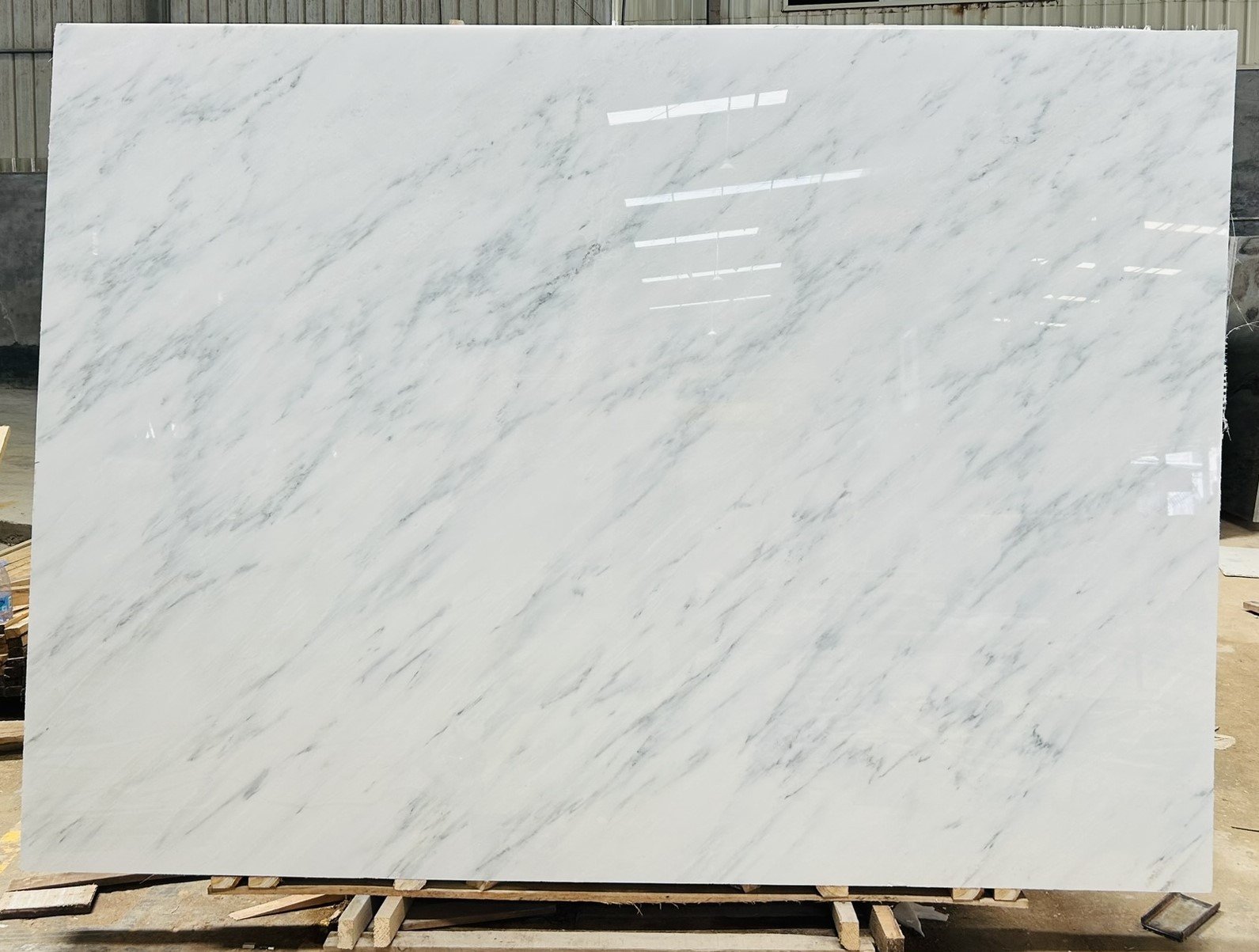 Oriental white /A - 图片 3
