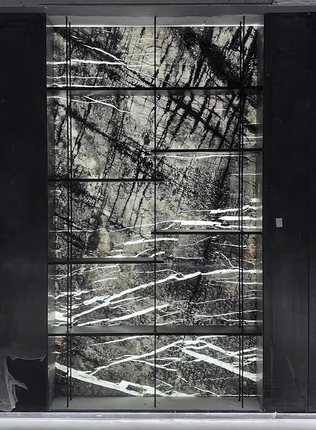 Silver Fir - 图片 5
